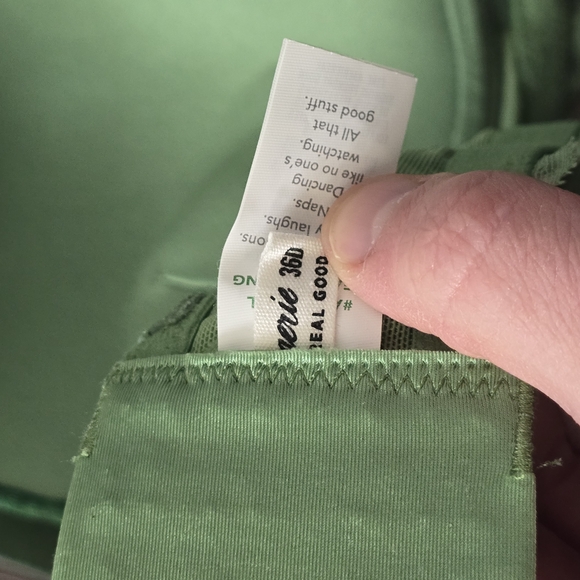 Aerie Green Lace Pushup Bra - Picture 3 of 5